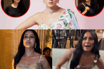 Shehnaaz Gill Snaps at Paparazzi On Camera – What Pushed Her Over the Edge?
