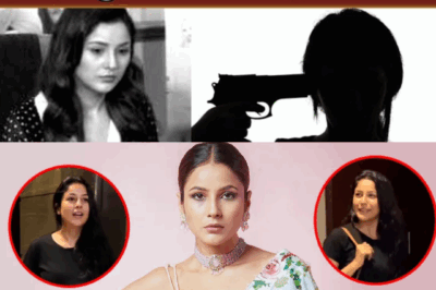 Viral Story: Shehnaaz Gill Recalls Terrifying Incident from Her Struggling Days