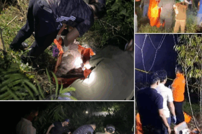 Bukan KECELAKAAN biasa, melainkan JEJAK GELAP yang ditinggalkan seseorang! Penemuan jasad perempuan dengan tangan TERBORGOL