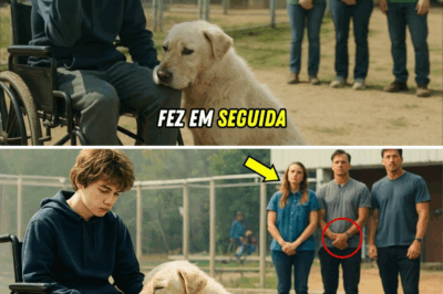 O Menino Que Não Caminhava e o Cão Que Tinha Medo: Quando Dois Corações Quebrados Se Encontram