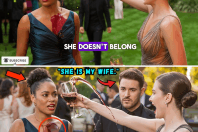 Ela teve vinho jogado no rosto em um casamento… e saiu de lá com um pedido de casamento que calou uma sala inteira