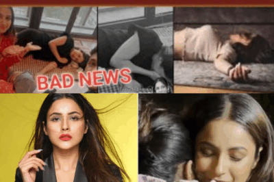Shehnaaz Gill Collapses During Event: What Really Happened?