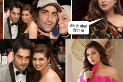 Why Is Vahbiz Dorabjee Talking About Vivian Dsena Again? Shocking Statement