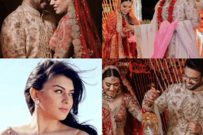 Hansika Motwani Deletes Wedding Memories – Is Her Fairytale Over?