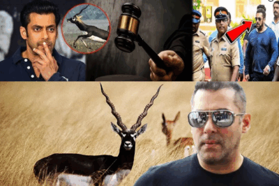 High Court Revives 1998 Hunting Controversy: What’s Next for Salman Khan and Bollywood Stars?