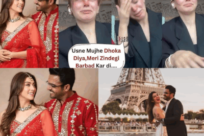 Hansika Motwani’s Emotional Breakdown After Divorce Announcement Shocks Fans
