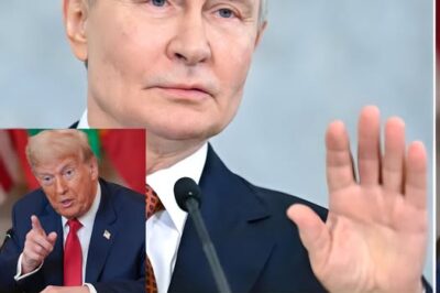 Vladimir Putin și-a ieșit din minți. Decizia dură luată după ce Trump i-a dat ultimatum, asta mai lipsea acum…