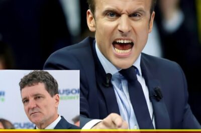 Lovitură pentru justiția din România: Ce a decis Curtea de Apel din Paris