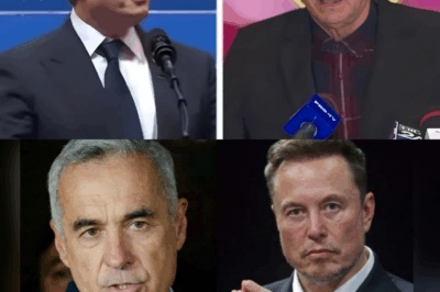 Elon Musk, atac dur la adresa președintelui Curții Constituționale a României, Marian Enache